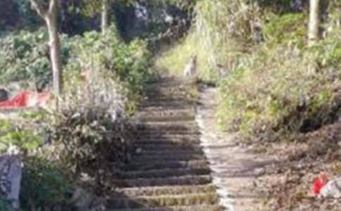 爬山優(yōu)秀作文