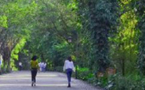 ��ɽ�����_�̌W�O(sh��)Ӌ