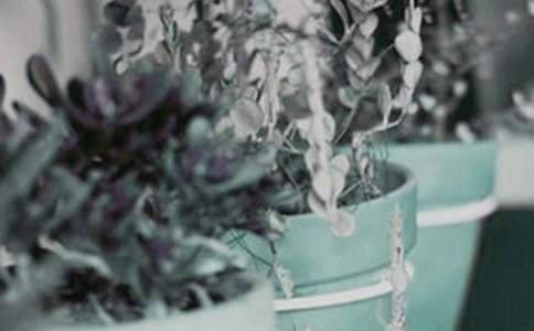 СС���Գɾ̈́�(chu��ng)�I(y��)�����İ�