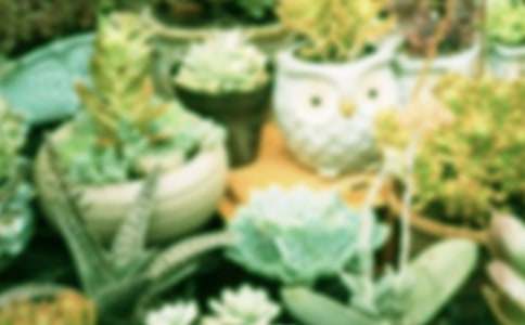 �҃�(n��i)�M�����������O(sh��)Ӌ(j��)