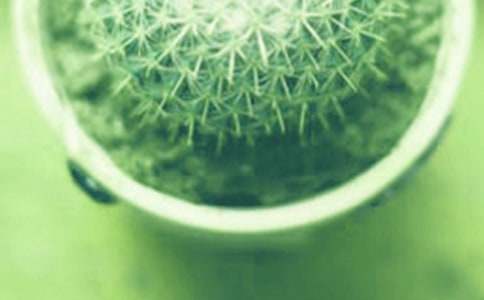 �����Ř���Bֳ����