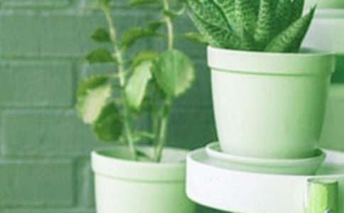 �P�����Բ軨���Bֳ������ע�����