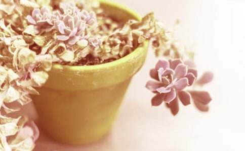 ��������������ƽ����