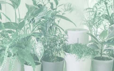 �������Դ���ֹ������̰�