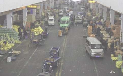 農(nóng)業(yè)姜種子批發(fā)合同