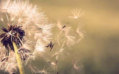 ���P(gu��n)�ѹ�Ӣ������ƪ