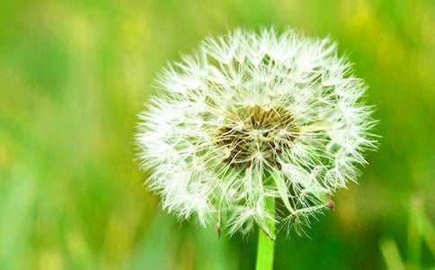 ������ѹ�Ӣ����