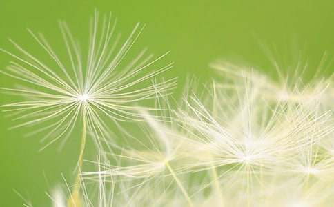 ���ѹ�Ӣ������