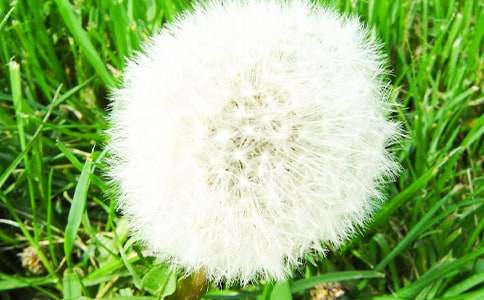 �ѹ�Ӣ���������ģ��R��12ƪ��