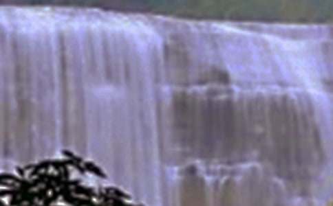 紫藤蘿瀑布讀后感必備【4篇】