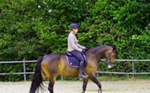 第一次騎馬作文(通用32篇)