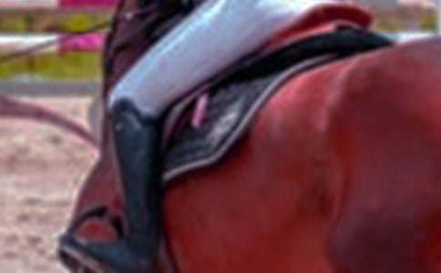 �T�R��������