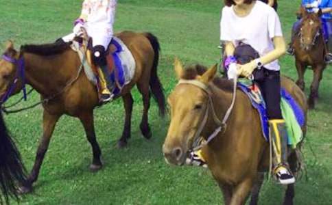 ��һ���T�R���ġ�����