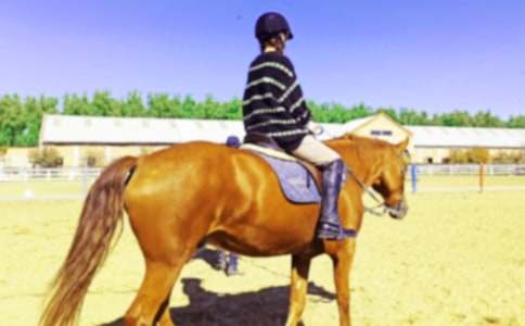 ��һ���T�R����