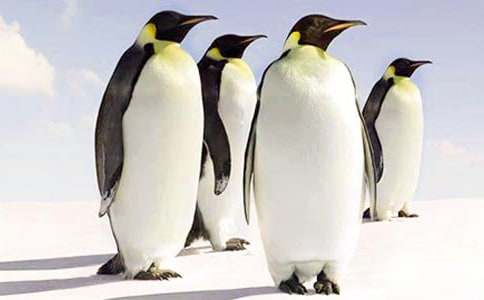 ��(d��ng)������ͯԒ�������Z