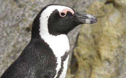 ���������Z���x��У����x30ƪ��