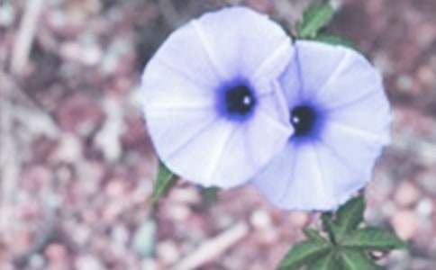 ���������ġ��]��