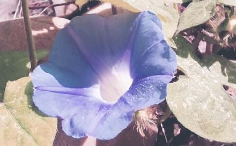 �߰��Ġ���������