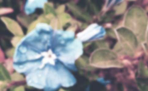 ������������3ƪ