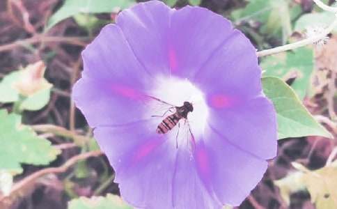 ���������ġ�����