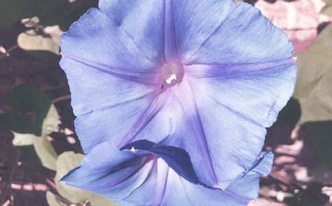 �����Ġ���������