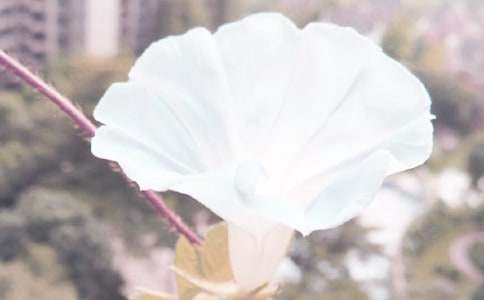 �茑������������