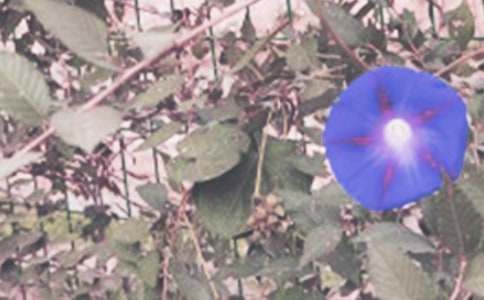 �茑������������