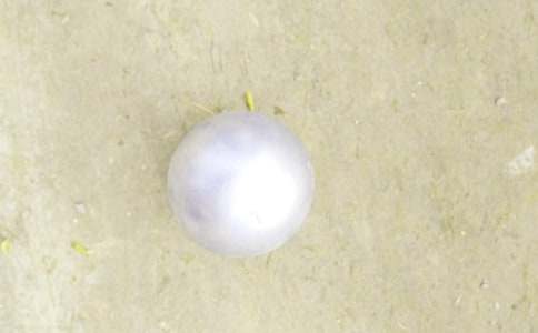 �U��V����