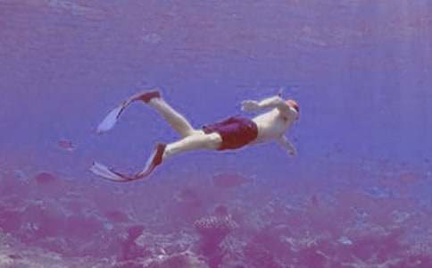 ��ˮͧ����