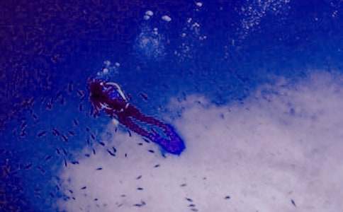 ��ˮ����˼��ʲô ��ˮ�Č��I�g�Z�ͷN�