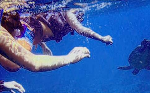 ��ˮ��������