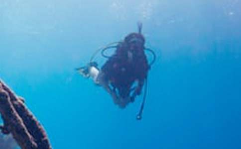 ���Ý�ˮ����ͬ