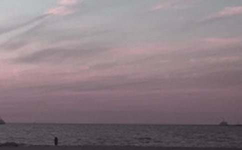 �ػʍu��ʿ����������