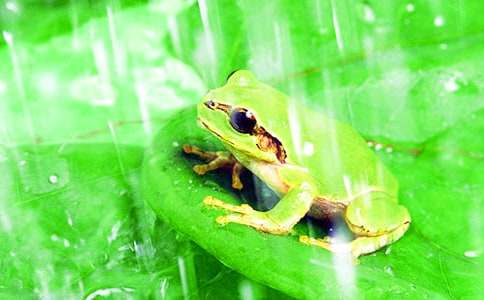 �����ܿ��������x����