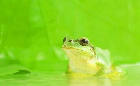 ���o(h��)�������ľ��x��15ƪ��