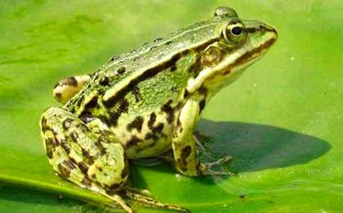 �������u�������u�n��