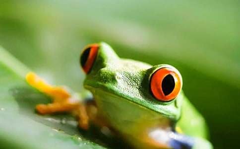 ���ܳ��x���u�n�巶��ͨ��