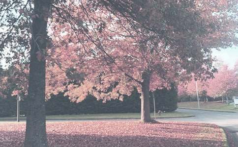 秋季男士穿著搭配技巧