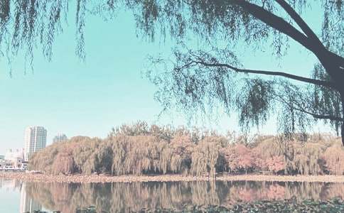 �＾�W(xu��)ǰ�ౣ���T����Ӌ(j��)��