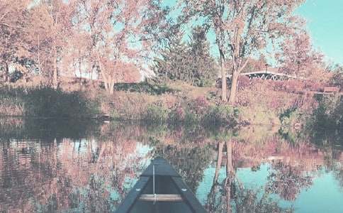 暑秋季招生通告