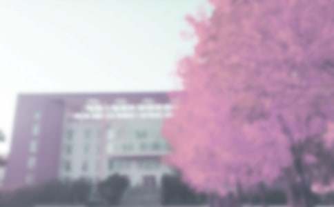 秋季教學(xué)工作總結(jié)