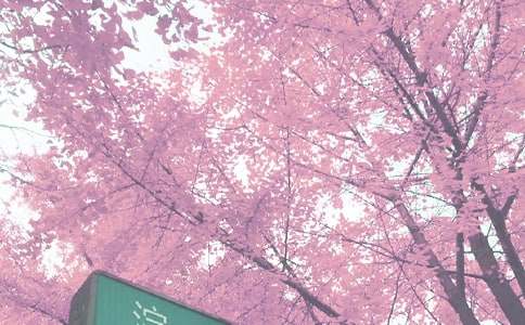 �＾�W(xu��)�ڴ�๤��Ӌ(j��)��