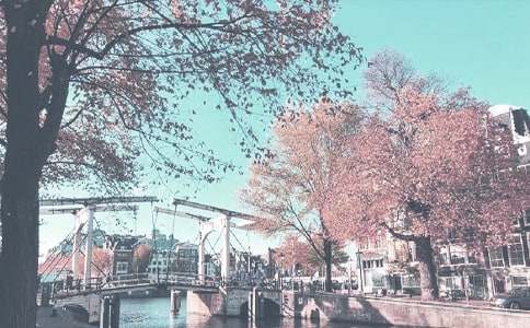 秋季生活小常識大全