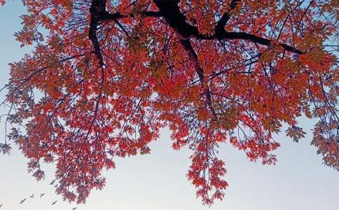 ���յ�˽�Z����