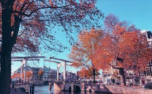 秋日絮語(yǔ)作文【常用7篇】