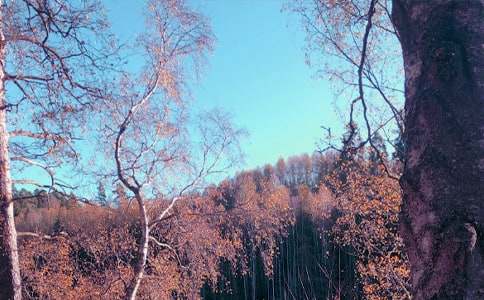 ����˽�Z����15ƪ���؂䡿