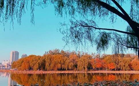 秋日吃鱒魚(yú)住度假村的二日旅游攻略