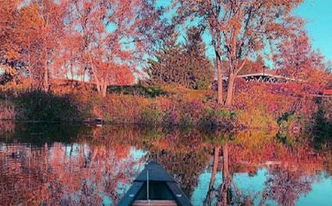 我言秋日勝春朝作文優(yōu)選【4篇】