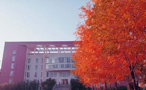 �����p������