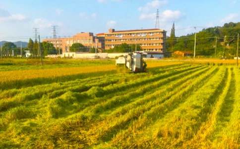 ���r���յĺ���(����15ƪ)